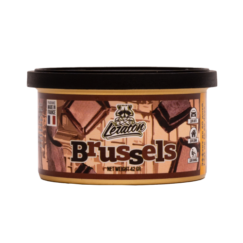 Ароматизатор для автомобиля в банке LERATON Brussels (Chocolate/Шоколад) Ароматизатор для автомобиля в банке LERATON Brussels (Chocolate/Шоколад)