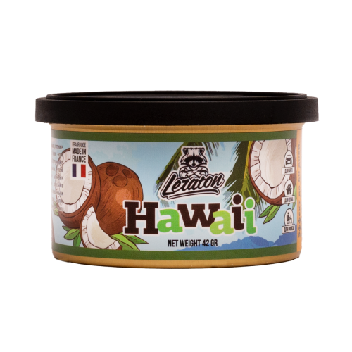 Ароматизатор для автомобиля в банке LERATON Hawaii (Coconut/Кокос) Ароматизатор для автомобиля в банке LERATON Hawaii (Coconut/Кокос)